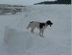To nie Spitzbergen, to plaza w Lubiatowie zima :-)