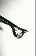 Las zakl�ty w kropli.