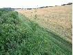 Widok po lewej. Wzd�u� pola ci�gn� si� krzaki w dolinie Wietcisy.