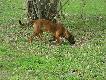 Sko�czy�em 10 miesi�cy. 
