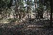 spojrza� na mnie jak by m�wi� a ty tu sk�d