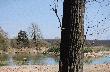na ka�dym wodnym oczku kilka kaczor�w