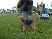XXV wystawa ps�w rasowych-Inowroc�aw
W dniu 16.05.2010r. odby�a si� XXV Jubileuszowa Krajowa Wystawa Ps�w Rasowych w Inowroc�awiu na kt�rej by�em z moj� Nork�(Norma Lisia Przygoda). Za��czam w galerii kilka fotek z tej imprezy.