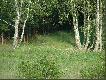 Tutaj wraz z m�odym, schodz� z pola