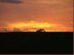 zach�d s�o�ca nad polami kaliskimi. Teraz czekamy do �witu a� jelenie b�d� wraca�