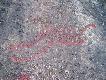 Foto 60:
Ci�gn� siec czy ubitego wieloryba??