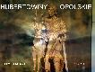 HUBERTOWINY OPOLSKIE  
...Jak co roku  na strzelnicy mysliwskiej w Opolu-Grudzicach dzisiaj 30.10.2010r odby�y si� Hubertowiny Opolskie, zorganizowane przez Zarz�d Okr�gowy i Okr�gow� Rad� �owieck� w Opolu.  Jak zwykle zarz�dza� �owczy Okr�gowy  kol.W.Plewka..Na uroczystosci zjecha�o kilkaset os�b, mysliwych ich rodzin oraz sympatyk�w �owiectwa.Obecni  byli przedstawiciele w�adz terenowych opolszczyzny  .W cz�sci oficjalnej  odznaczono zas�u�onych mysliwych  zosta�y wr�czone dwa sztandary d�a K� i kilka z nich odznaczono medalami zas�ugi dla �owiectwa.Nast�pnie na  pokocie  og�oszono  kr�l�w polowa� i wr�czono im okolicznosciowe medale  ,bite tylko na t� okazj�....Ostatni� cz�sci� Hubertowin by�y degustacje, a mo�e objadanie si�  przygotowanymi na t� okazj� potrawami...A by�o ich sporo i jak zwykle smaczne, mysl�,�e nikomu nie zabrak�o..nie powiem nic o piwku bo mnie trafia�o,�e nie mog�em go skosztowa�.Oczywiscie to wszystko na "krech�"....Mysl�,�e nale�� si� s�owa podzi�kowania dla tych co w�o�yli du�o trudu aby wszystko to przygotowa�...Darz B�r...