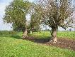 wida� maksymalne stane wody 