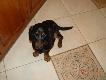 m�odszy brat Graja... Ivan