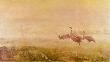 �URAWIE O PORANKU, 1913