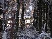 Na granicy obwod�w