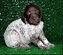 Ma�y GRANDELEk