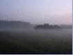 �owisko