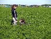 Dohledavka (Nove Sady na Slowacji)