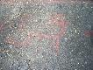 Foto 84:
Dziesi�tak.