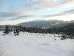 Ja�owiec. Babia G�ra