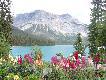 Emerald Lake (Jezioro Szmaragdowe) - park Yoho.