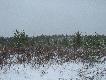 Okolice Dryden Ontario