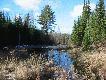 Lasy w okolicy Restoule Ontario