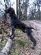 hmmm gdzie jest pa�cio...... 