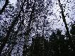 a my w trzcinach na zbior�wce szukamy ;)
