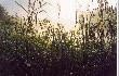 Wsch�d s�o�ca-warto czasem te� pojecha� na ryby (Pludry)...
