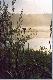 Wsch�d s�o�ca-warto czasem te� pojecha� na ryby (Pludry)...