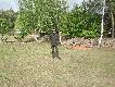 Nie ma Go na porannej odprawie w�r�d komisji s�dziowskiej,poniewa� spe�nia� r�wnie� rol� sygnalisty.