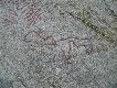 Foto 107: Inne g�ry, inne ryty naskalne:
Nietoperz to zwierzyna czy ptactwo??
