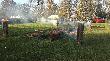 Hubertus W�growski, pokot :
1 �ania, 1 koza, 18 dzik�w, 7 lis�w, 1 jenot