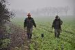 Polowanie na drapie�niki 18.11.2012r.
