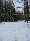 Zima ci�g dalszy:-)Brr....brrr....