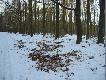 By�y kabany tu pod d�bami :-)Wida� jak jest �wie�o popisane!