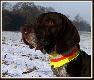 Archie`kowy nosek juz zaczyna niuchac :))