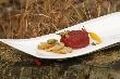 Tatar z jelenia - kto� ch�tny?