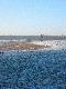 To rzut na moje �owisko i ambona nr 11,a w oddali wida� nasz� ,,Kwater� My�liwsk�"