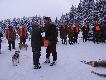 Ukoronowanie vice kr�la