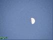 NIed�ugo pe�nia :) Zdj�cie zrobione z 12 krotnym zoomem 