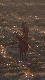 18-06-2013 Pierwszy zach�d s�o�ca od bardzo wielu dni deszczowych, to i zwierz wcze�niej wyszed� 