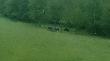 4 lochy z pasiakami.. la�o, a one na �ake sobie wysz�y.. fotka nie specjalna, robiona telefonem. 
