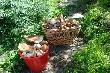 17.06.2013r
Kolejny dzie� zbior�w.