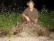 24.05.2013r kolejne polowanie na kukurydzy... o godz 20.50 odda�em celny strza� do lisa kt�ry sznurowa� z rzepaku, �w Hubert postanowi� mi w tym dniu po darzy� jeszcze dzika, kt�rego strzeli�em o godz 22.25 w sumie wysz�y mi 3 dziki kt�re z chodzi�y z pola do lasu. Lisa nie ma na zdj�ciu poniewa�  zdj�cie by�o by nie estetyczne.   Darz B�r  