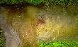 Oko�o 80 metr�w 