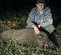 pierwsze scierniska przynios�y rezultat odyniec strzelony wczoraj wieczorem waga 91kg or� s�aby