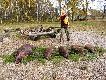 Hubertus'2012. Pokot u�o�ony,teraz "uk�adam" my�liwych.