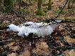 "Od �wi�tej (H)anki ch�odne wieczory i ranki. Koniec lipca, sko�czy� si� Dzie� Polarny, za miesi�c sko�cz� si� bia�e noce, ale ju� zacz�y si� nocne przymrozki..