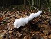 "Od �wi�tej (H)anki ch�odne wieczory i ranki. Koniec lipca, sko�czy� si� Dzie� Polarny, za miesi�c sko�cz� si� bia�e noce, ale ju� zacz�y si� nocne przymrozki..