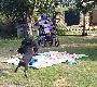 Zwarcie z chwytem w powietrzu:))....forma zabawy. Problem�w ju� nie ma.