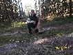 11 lisek  strzelony o �wicie...,�rutem 3,5 mm z 20 metr�w.Darz B�r ...