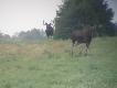 Tryptyk(3)  Badylarz i �opatacz